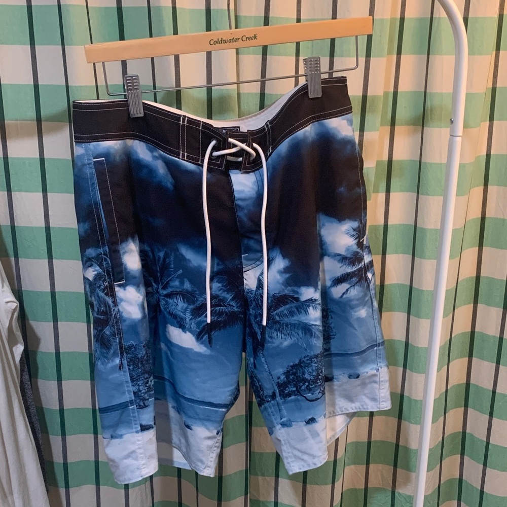 American Eagle Outfitters Blue and Black Palm Board Shorts